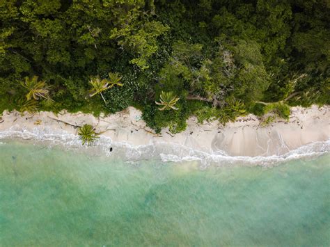 The Best Beaches In Costa Rica In Caribbean Pacific