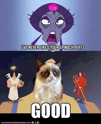 grumpy cat alias tard grumpy cat cartoon grumpy cat grumpy cat disney