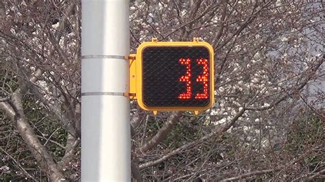 Siemens Pedestrian Signal With 42 Second Countdown Youtube