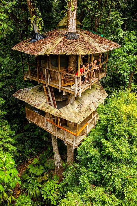 Finca Bellavista Treehouse Community Sustainable Treehouses In Costa Rica