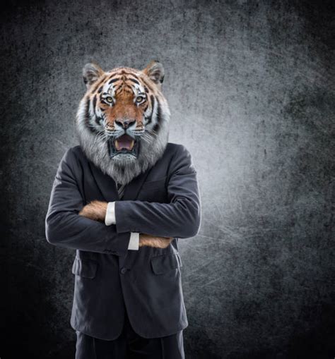 Best Tiger Suit Stock Photos Pictures And Royalty Free Images Istock