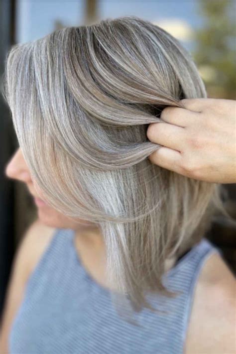 Coloring Gray Hair With Highlights Outlet Store Save Jlcatj Gob Mx