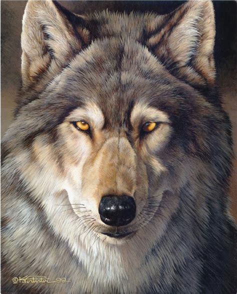 Wolf Portrait Painting By Ken Forbister Acrylic On Hardboard