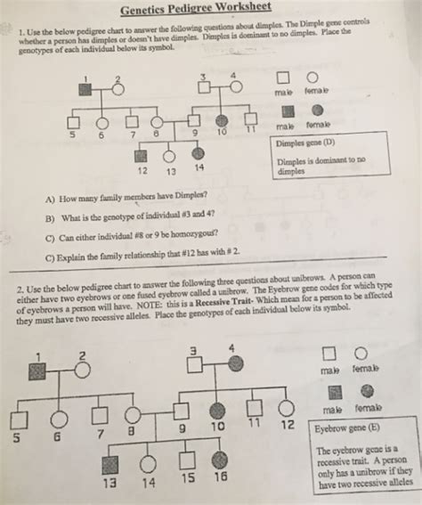 Genetics Pedigree Worksheet 1 Use The Below Pedigree Chart To Answer The Following Questions