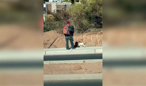 Youtube Viral Perro Se Niega A Caminar Para Que Su Dueño Lo Cargue En