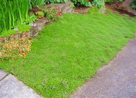 7 Outdoor Living Trends To Try In 2015 Grass Alternatives Outdoor