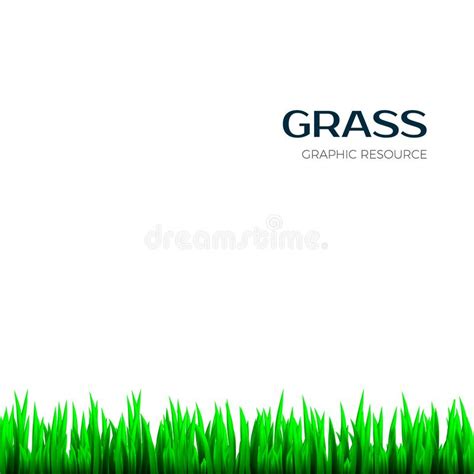 Grass Texture Realistic Horizontal Herb Botany Frame For Banner Vector Illustration Stock