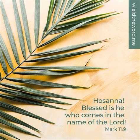 Hosanna Blessed Is He Who Comes In The Name Of The Lord Mark 119