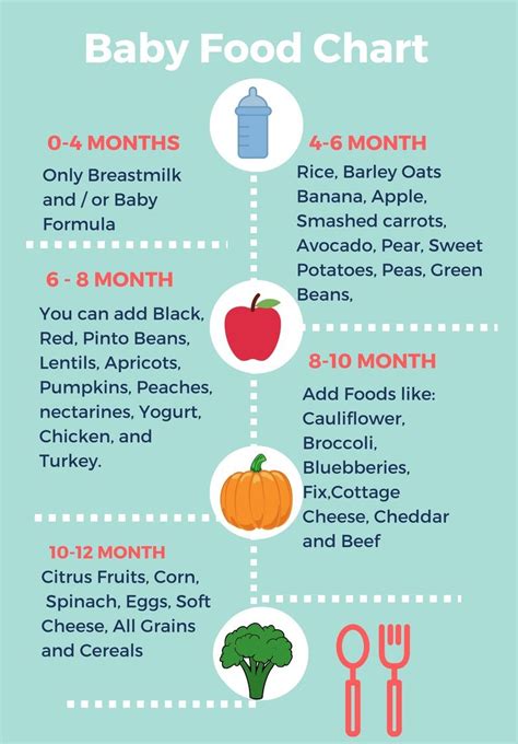 So, here is the list of foods you may include in 10 month baby food chart: What can my baby eat and when? Baby Food Chart | Baby ...