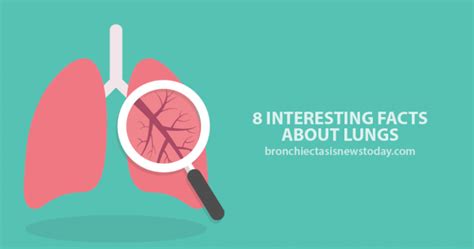 8 Interesting Facts About Lungs Page 5 Of 8 Bronchiectasis News Today