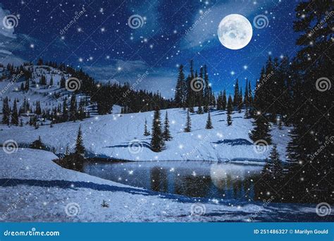 Night Scene With Evergreens Snow And Full Moon Stock Image Image Of