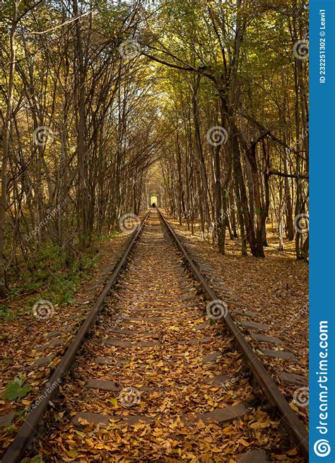 Railroad Surrounded By Autumn Forest Stock Photo Image Of Comfort