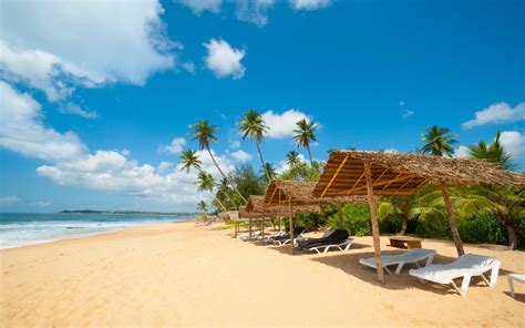 Sri Lanka Hikkaduwa Beach Golden Sandy Beaches Palm Trees Blue Waters