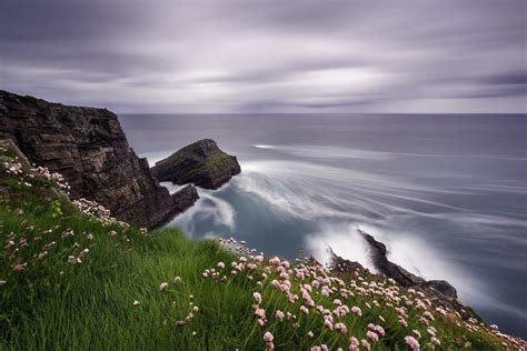 3840x2560 Cliff Coast Coastline Wildflower 4k Wallpaper