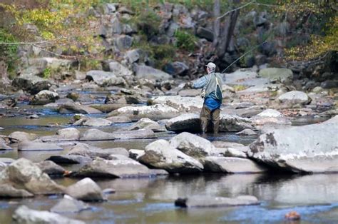 Pigeon forge, tennessee, united states. 5 Activities That Are a Must on Your Smoky Mountain ...