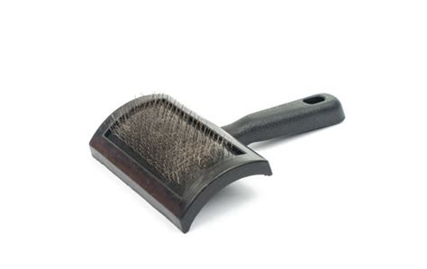 Best cat brushes to buy. Grooming 101: What Type Of Brush Is Best For My Cat ...
