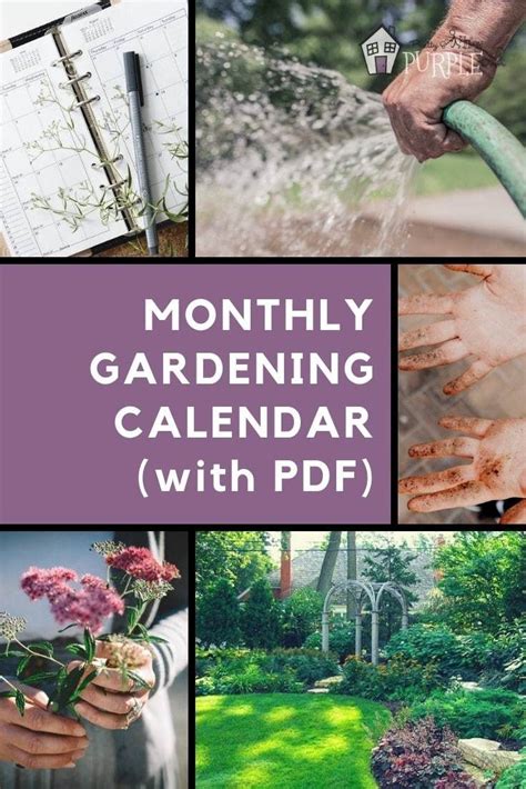 Create A Custom Gardening Calendar A Step By Step Guide Garden