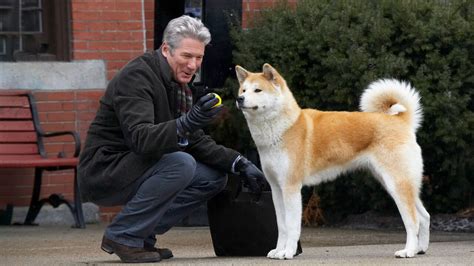Dogs In History Hachiko The Dog That Waited For 9 Years I Love My