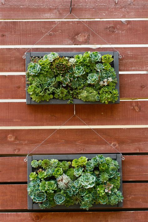 8 Ways To Go Green With A Living Wall