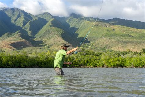 Diy Fly Fishing Adventure Molokai Hawaii Bonefish Chasing Oio By Kayak