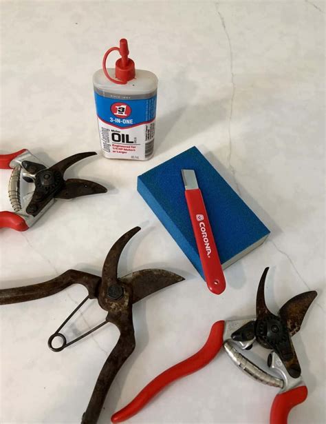 How To Sharpen Pruning Shears ️ 🔧 A Step By Step Guide To Maintaining