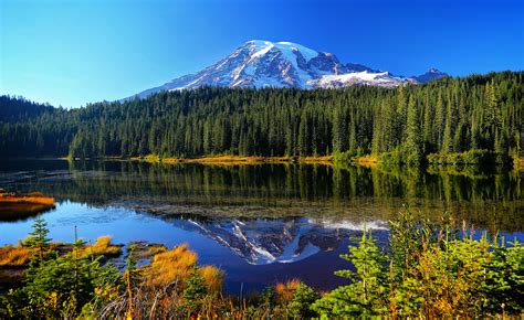 Mount Rainier National Park Reflection Lake Forest Lake