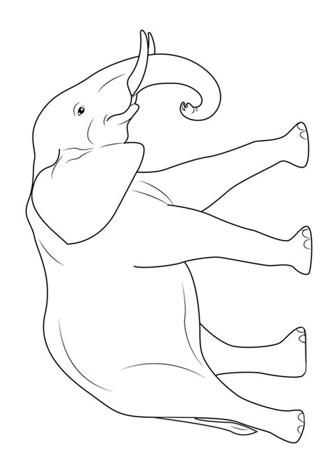 elefante particolare disegno da colorare archivi disegni da colorare the best porn website