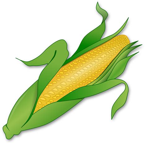 Clipart Corn