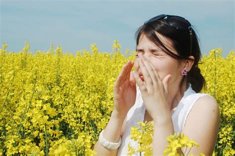 Synth Tiser More Than Articles Sur Le Sujet Que Faire En Cas De Crise D Allergie Au Pollen