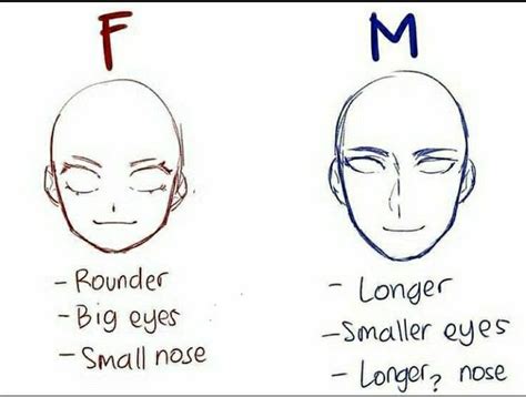 Anime Face Shapes Anime Face Drawing Drawing Heads Nose Drawing Drawing Face Shapes Man