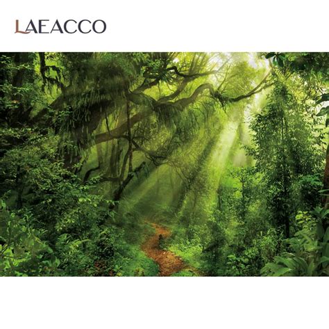 Laeacco Forest Backdrops For Photography Tree Shrub Grass Pathway