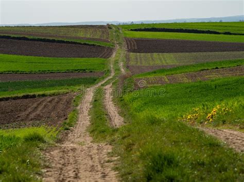 Countryside Spring Landscape Of Plowed Fields Green Grass And Path