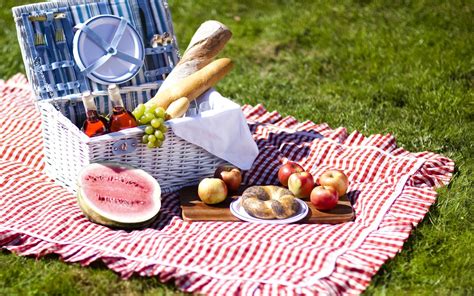 Perfect Picnic Ideas For Summer