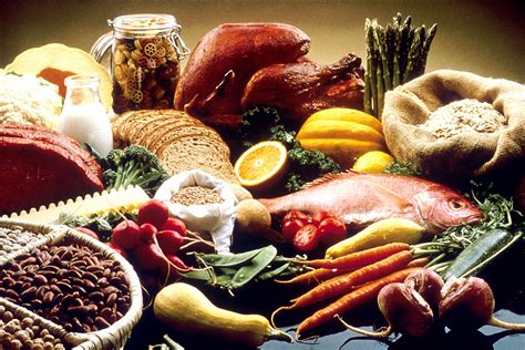 Alimentos Origen Y Su Clasificación Deporte Y Nutrición
