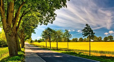 Country Road in The Summer HD Wallpaper | HD Latest Wallpapers