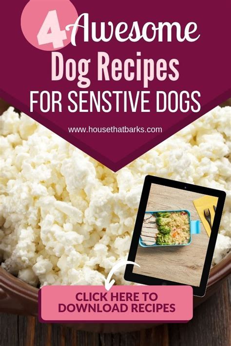 Throughout its duration, the dog must be well hydrated by making him drink because the body can lose a lot of water and mineral salts. Upset tummy and diarrhea | Recipe | Dog food recipes, Dog ...