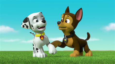 Marshall And Chase Paw Patrol Relation Ship Wiki Fandom