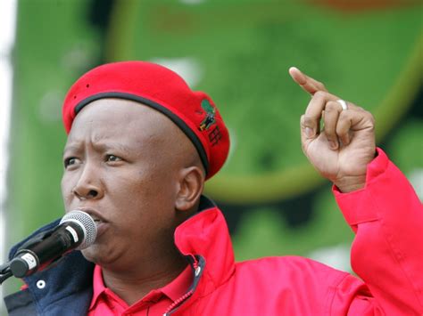 Commander in chief of economic freedom fighters eff and a revolutionary activist for radical change in africa. Julius Malema Against African Judges Wearing Blonde Wigs, Likens The Practice To Colonization