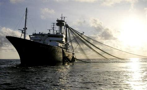 La Pesca Industrial Se Come La Mitad De Los Océanos La Verdad
