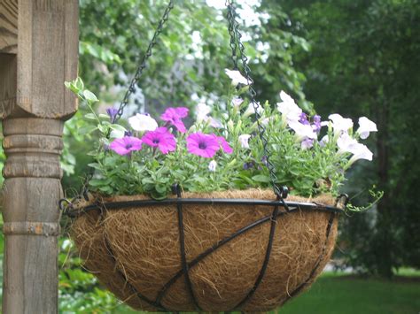 Try planting individual baskets with edible plants, or get a layered hanging basket with multiple pots so that you can grow various veggies in one space. Ideas for Hanging Baskets | Garden Guides