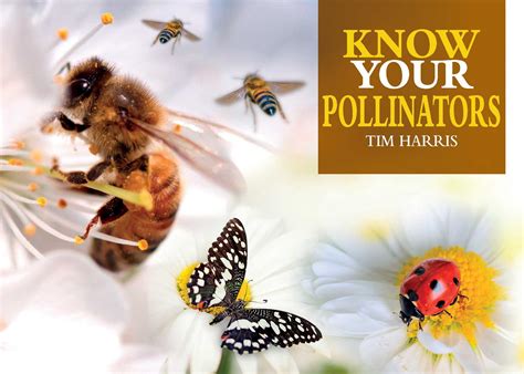 Know Your Pollinators Book By Tim Harris Official Publisher Page