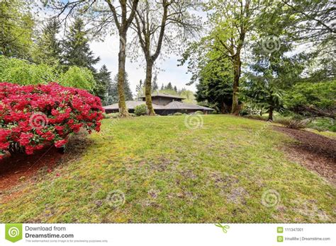 Amazing Secluded Home Nestled In Lush Greenery Stock Image Image Of
