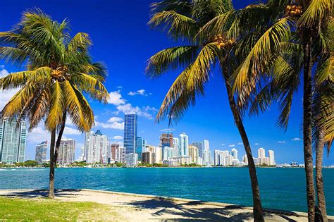 Dónde Alojarse En Miami Las 10 Mejores Zonas