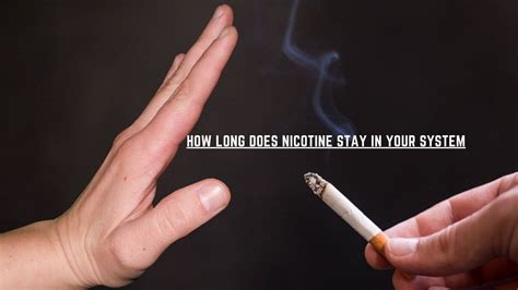 How Long Does Nicotine Stay In Your System Its Released