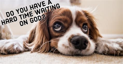 Gods411 Blog Do You Have A Hard Time Waiting On God