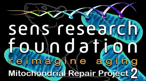 Sens Research Foundation — Mitomouse Project Crowdfunding Campaign Youtube