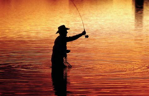 Fishing Fish Sports Sunset Sunrise River Wallpapers Hd Desktop