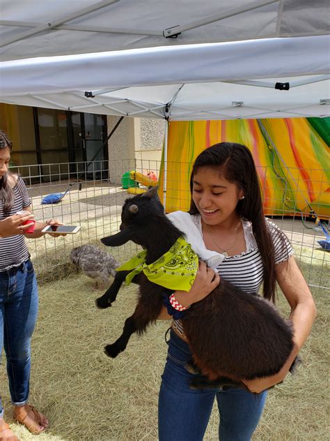 Escape the urban throng and get up close and personal with botanicals and beasts at this zilker park oasis. Mobile Petting Zoo Party - Farm Animal Petting Zoo -Dallas ...