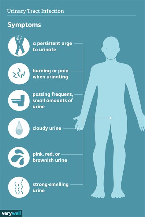 uti in men symptoms causes diagnosis and treatment