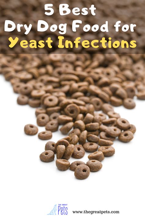 5 Best Dry Dog Food For Yeast Infections In 2020 The Great Pets Dog